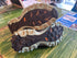 La Sportiva Bushido II Trail Running Shoes