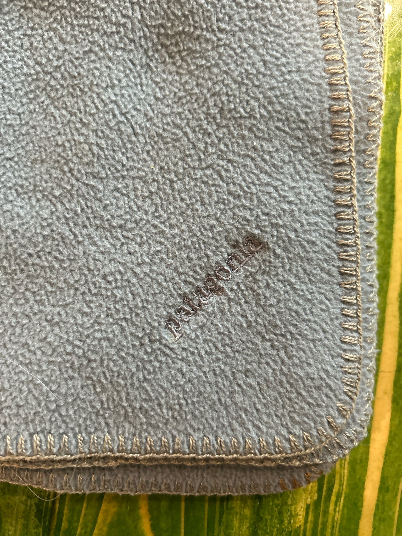 Patagonia Blue Scarf