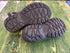 Teva Womens Hurricane XLT2 Sandals