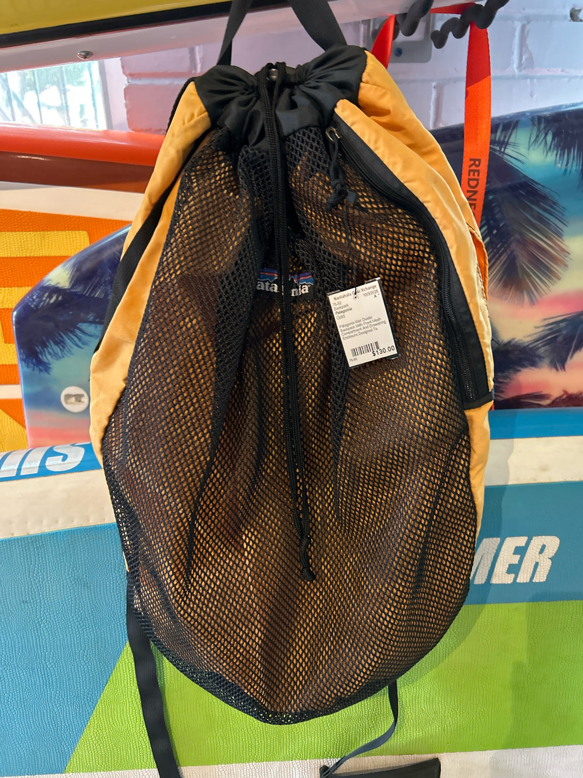 Patagonia Wet Divider Backpack