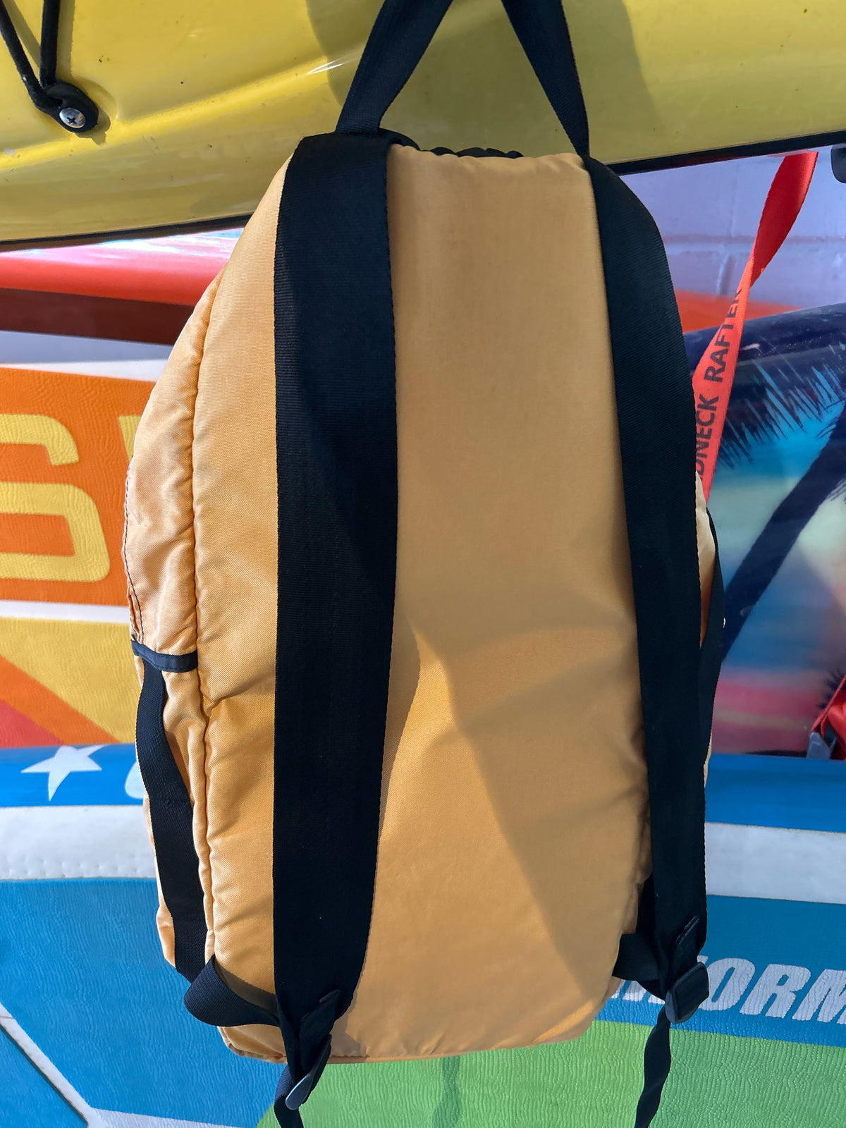 Patagonia Wet Divider Backpack