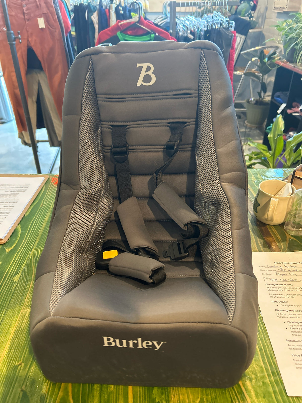 Burley Baby Seat Insert