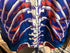 Primal Biking Clothes
