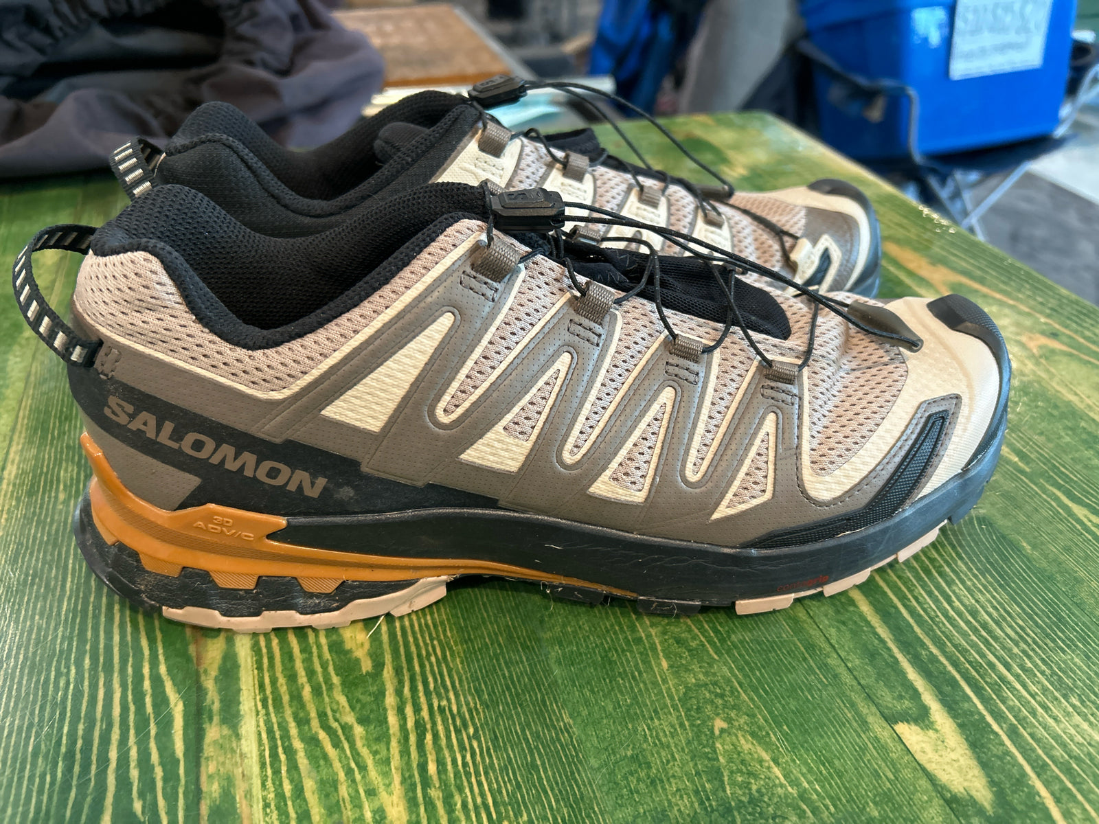 Salomon Shoes