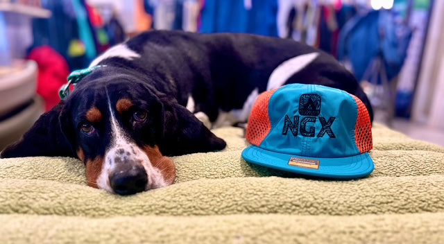 Dozer, the Nantahala Gear Xchange store mascot dog, resting beside an NGX branded hat.